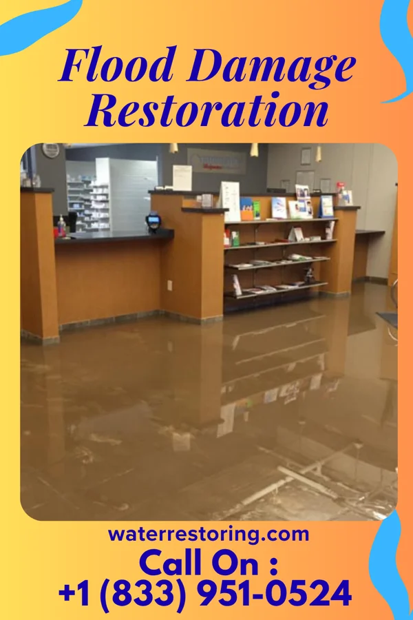 Flood Damage Restoration in Casa, AR