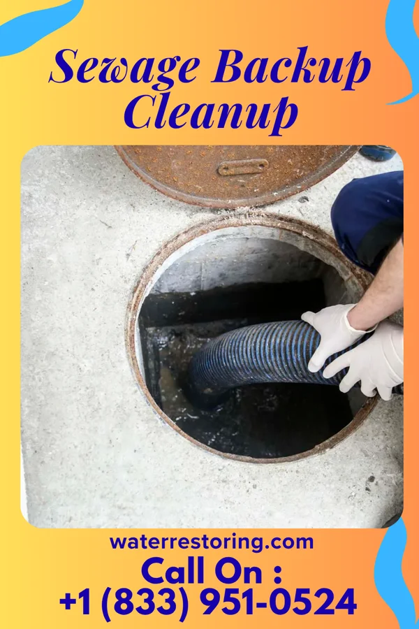 Sewage Backup Cleanup in Casa, AR